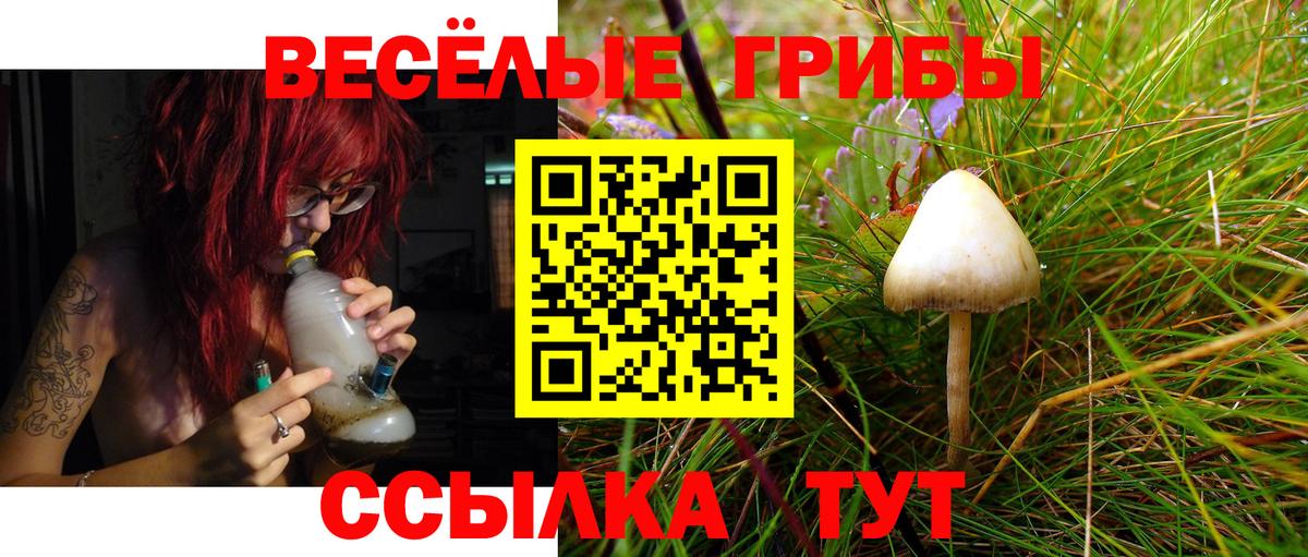 Уварово  наркотики  Вход с VPN  Псилоцибиновые грибы мухоморы 